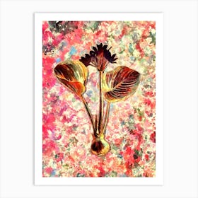 Impressionist Cardwell Lily Botanical Painting in Blush Pink and Gold n.0008 Art Print
