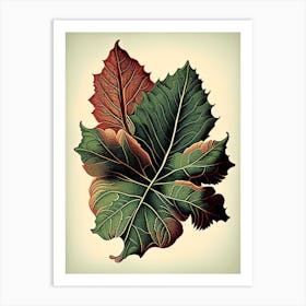Achiote Leaf Vintage Botanical 1 Art Print