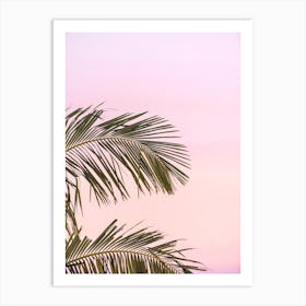 Pink Palm Sunset Art Print