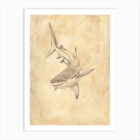 Zebra Shark Vintage Illustration 7 Art Print