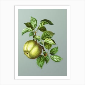 Vintage Apple Botanical Art on Mint Green n.0941 Art Print
