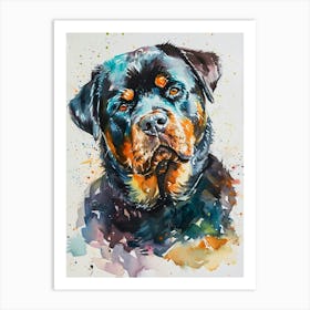 Rottweiler Watercolor Painting 1 Art Print
