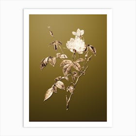 Gold Botanical White Bengal Rose on Dune Yellow Art Print