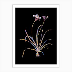 Stained Glass Allium Fragrans Mosaic Botanical Illustration on Black n.0279 Art Print