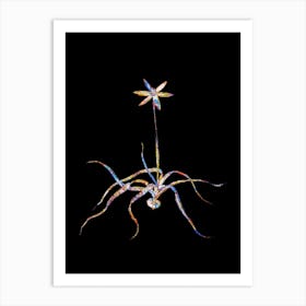 Stained Glass Hypoxis Stellata Mosaic Botanical Illustration on Black n.0098 Art Print