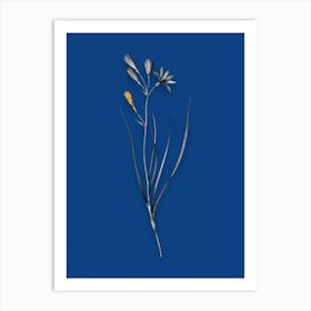 Vintage Amaryllis Montana Black and White Gold Leaf Floral Art on Midnight Blue n.0395 Art Print