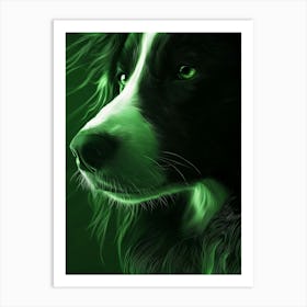 Border Collie 5 Poster