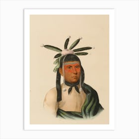 Native American Art Print