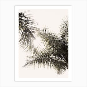 Palm Leaf Trees Art Print