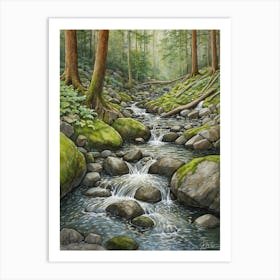 Stream In The Forest 2 Art Print