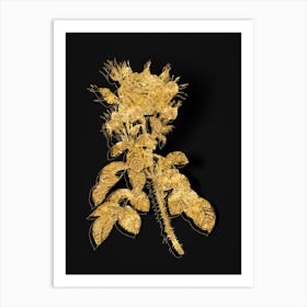 Vintage Lelieur's Four Seasons Rose Botanical in Gold on Black n.0446 Art Print