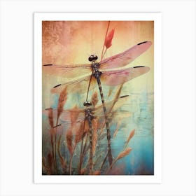 Dragonfly Wetlands Illustration  2 Art Print