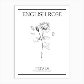 English Rose Petals Line Drawing 2 Poster Art Print