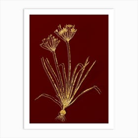 Vintage Allium Straitum Botanical in Gold on Red n.0153 Art Print