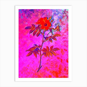 Rosa Redutea Glauca Botanical in Acid Neon Pink Green and Blue n.0283 Art Print