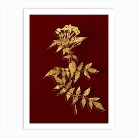 Vintage Jasmin Officinale Flower Botanical in Gold on Red n.0055 Art Print