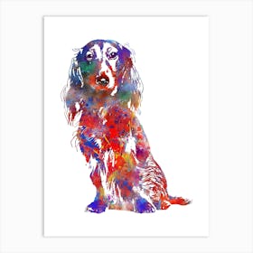 Long Haired Dachshund Watercolor Art Print