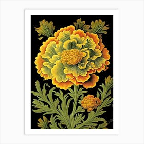 Marigold 1 Floral Botanical Vintage Poster Flower Art Print