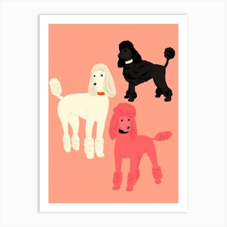 Poodles Art Print