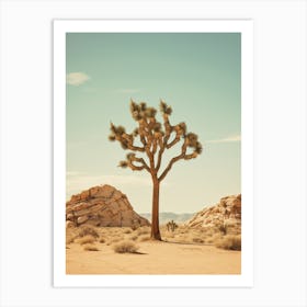  Photograph Of A Joshua Tree In Rocky Mountains 1 Art Print