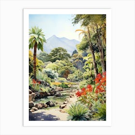 Kirstenbosch Botanical Garden South Africa Watercolour 3 Art Print
