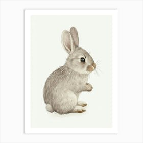 Chinchilla Rabbit Kids Illustration 1 Art Print