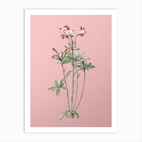 Vintage Lily of the Incas Botanical on Soft Pink n.0411 Art Print