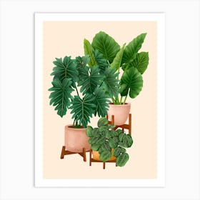 Indoor Plants 1 Art Print