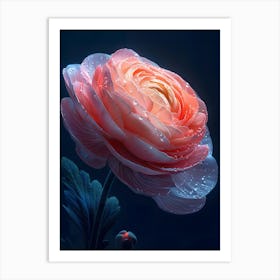 Peony Flower 1 Art Print