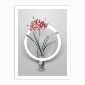 Vintage Guernsey Lily Minimalist Floral Geometric Circle on Soft Gray n.0007 Art Print