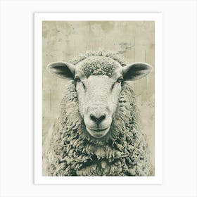 Sheep Portrait Art Print