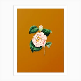 Vintage Gray's Invincible Camellia Flower Botanical on Sunset Orange n.0657 Art Print