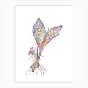 Stained Glass Koemferia Longa Mosaic Botanical Illustration on White n.0121 Art Print