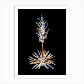 Stained Glass Adam's Needle Mosaic Botanical Illustration on Black n.0046 Art Print