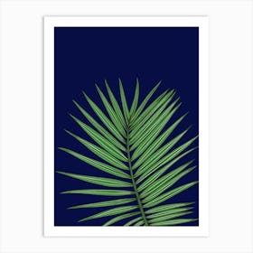 Palm Leaf On A Blue Background Art Print