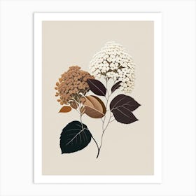 Hydrangea Root Spices And Herbs Retro Minimal 3 Art Print