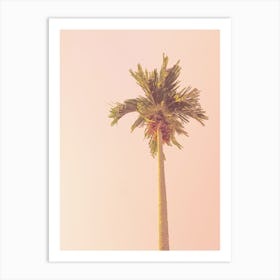 Pink Palm Tree Sunset Art Print