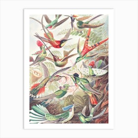 Hummingbirds 2.0 Art Print