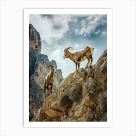 Goats In The Mountains Art Print