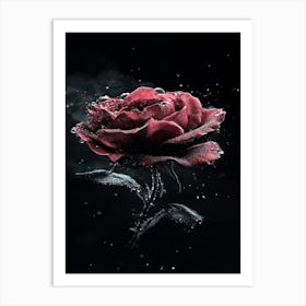 Rose In Water 1 Art Print