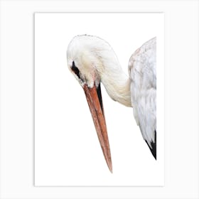 Funny White Bird Art Print