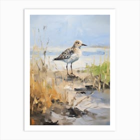 Bird Painting Grey Plover 4 Art Print