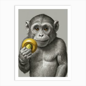 Monkey Eating A Banana Art Print