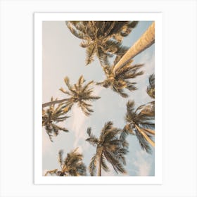 Palm Trees In The Sky Art Print