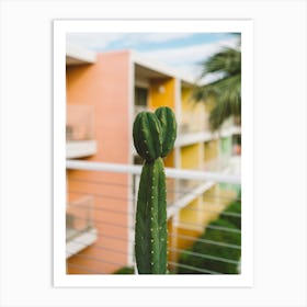Palm Springs Cactus Art Print