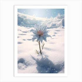 Beautiful Winter Flowers 35 Art Print