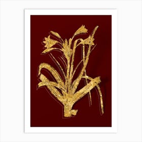 Vintage Malgas Lily Botanical in Gold on Red n.0568 Art Print