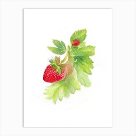 Wild Strawberry Wildflower Watercolour Art Print