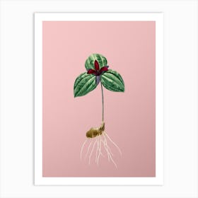 Vintage Tri Flower Botanical on Soft Pink n.0234 Art Print