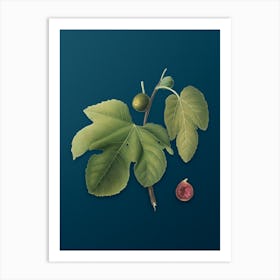 Vintage Briansole Figs Botanical Art on Teal Blue n.0509 Art Print